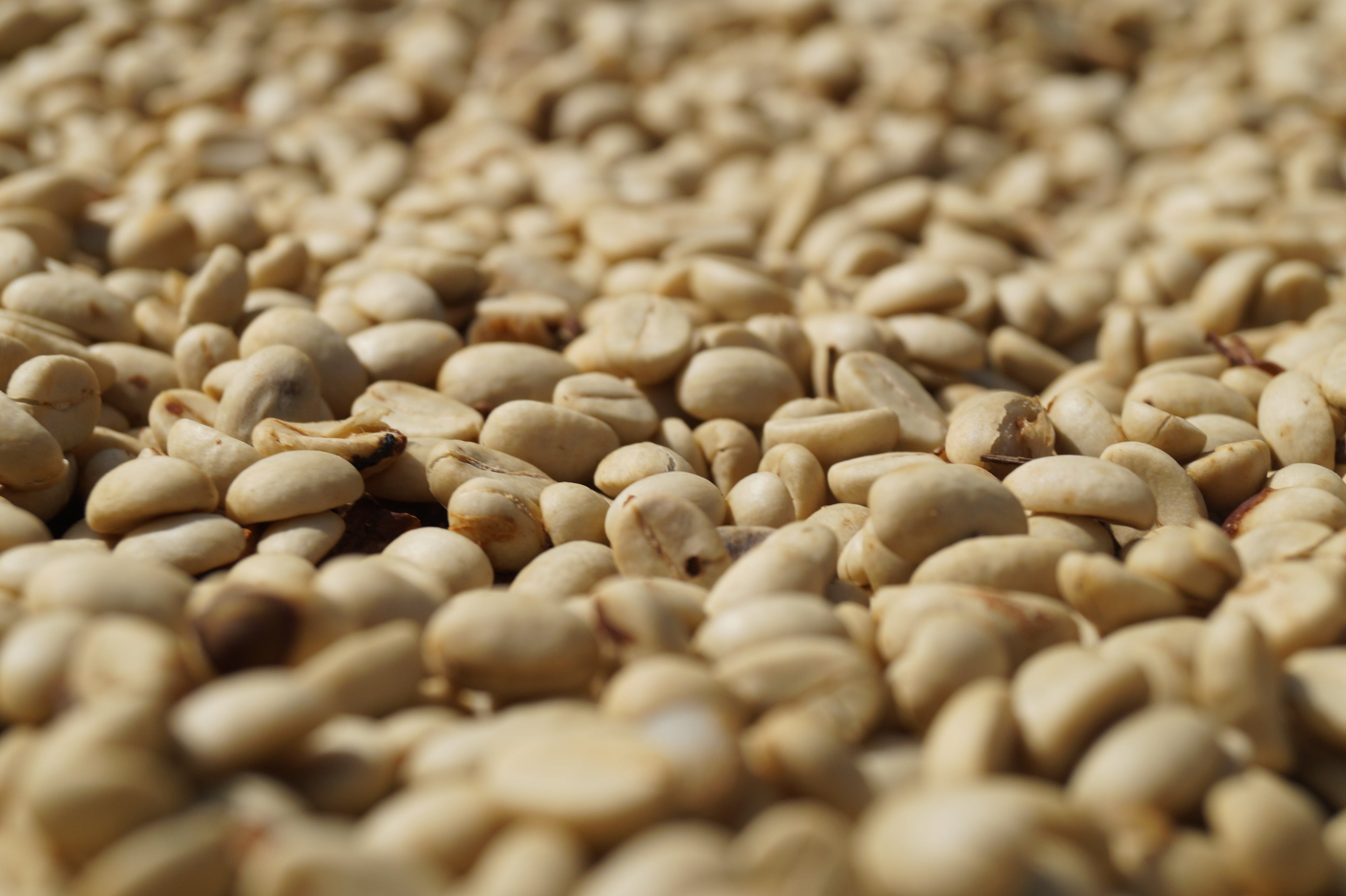 Projekt 1 - Cross River Coffee